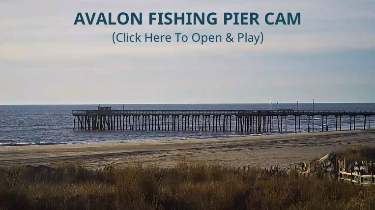 Avalon Fishing Pier